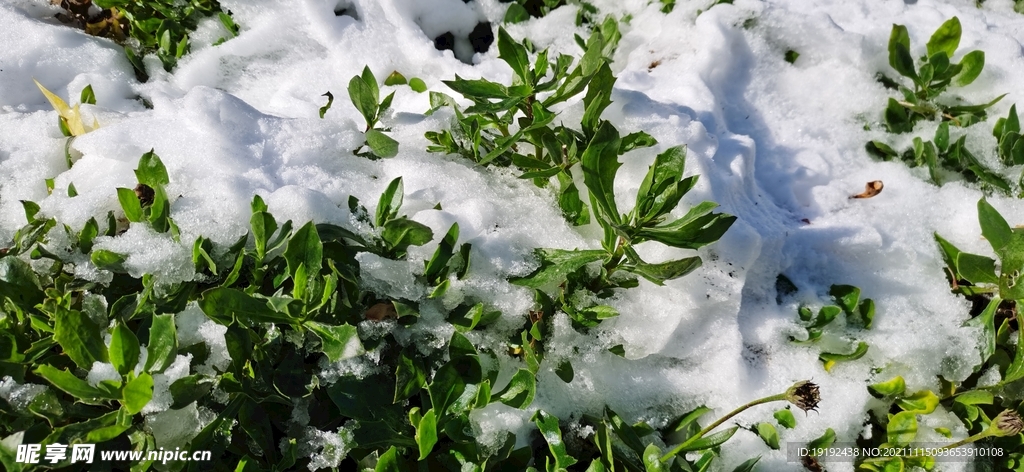 润雪