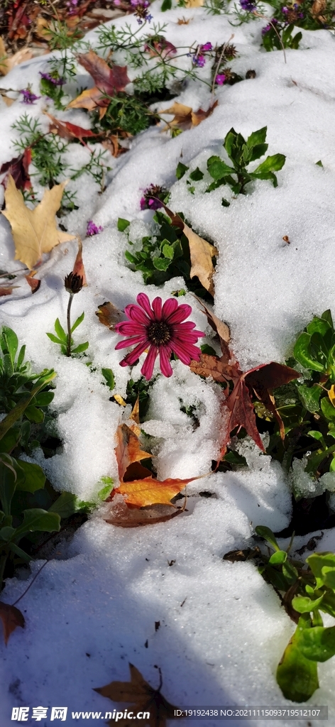 润雪