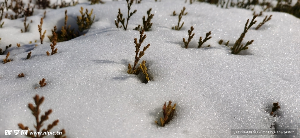 润雪 