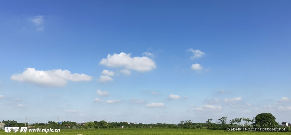 夏日原野