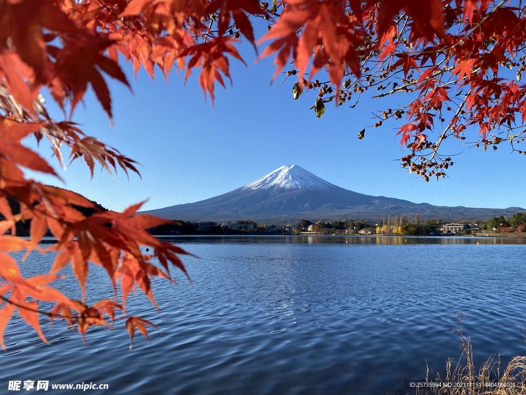 秋天富士山