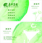 绿色名片设计