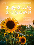 不全力以赴 怎见雨后骄阳