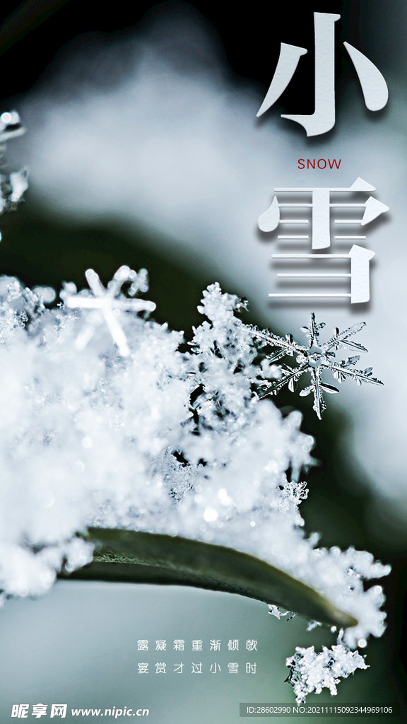 小雪节气海报