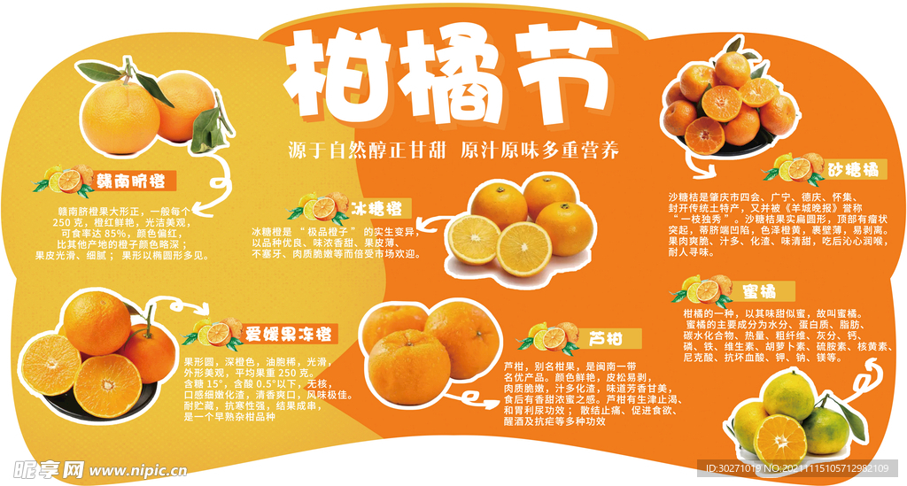 橘柑节