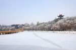 雪景