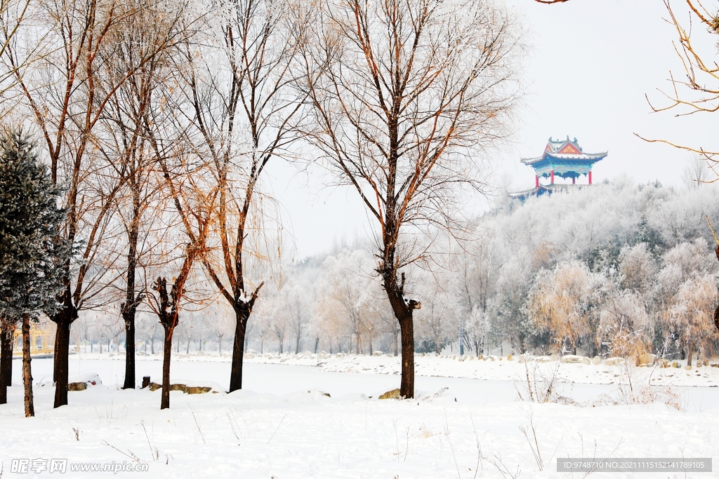 雪景