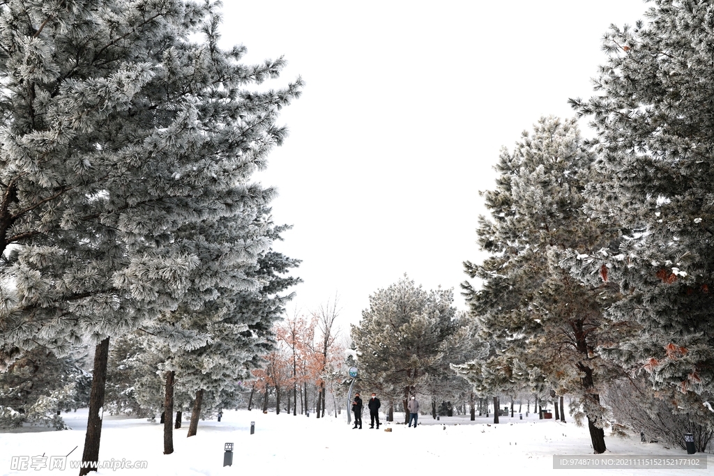 雪景
