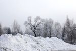 雪景