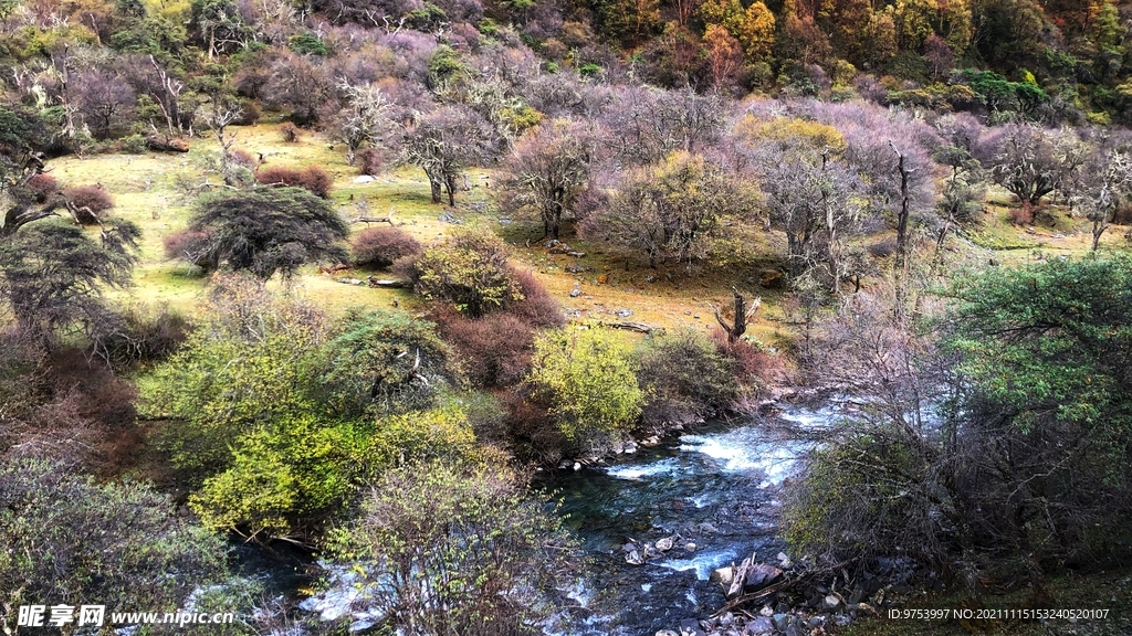 四姑娘山秋景