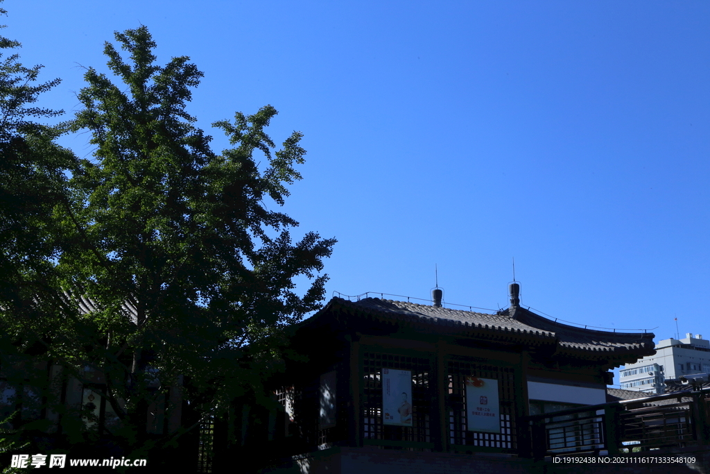 公园风景 