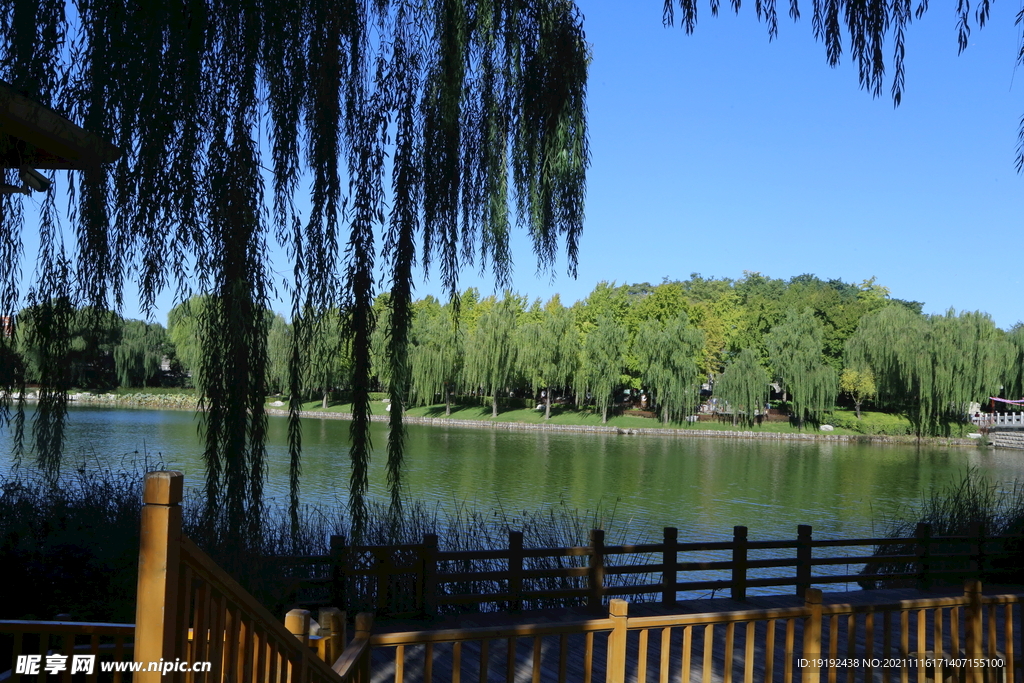 公园风景 