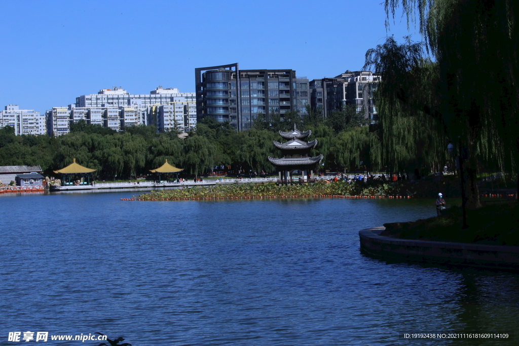 公园风景