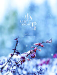 小雪