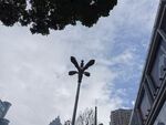  蓝天 白云