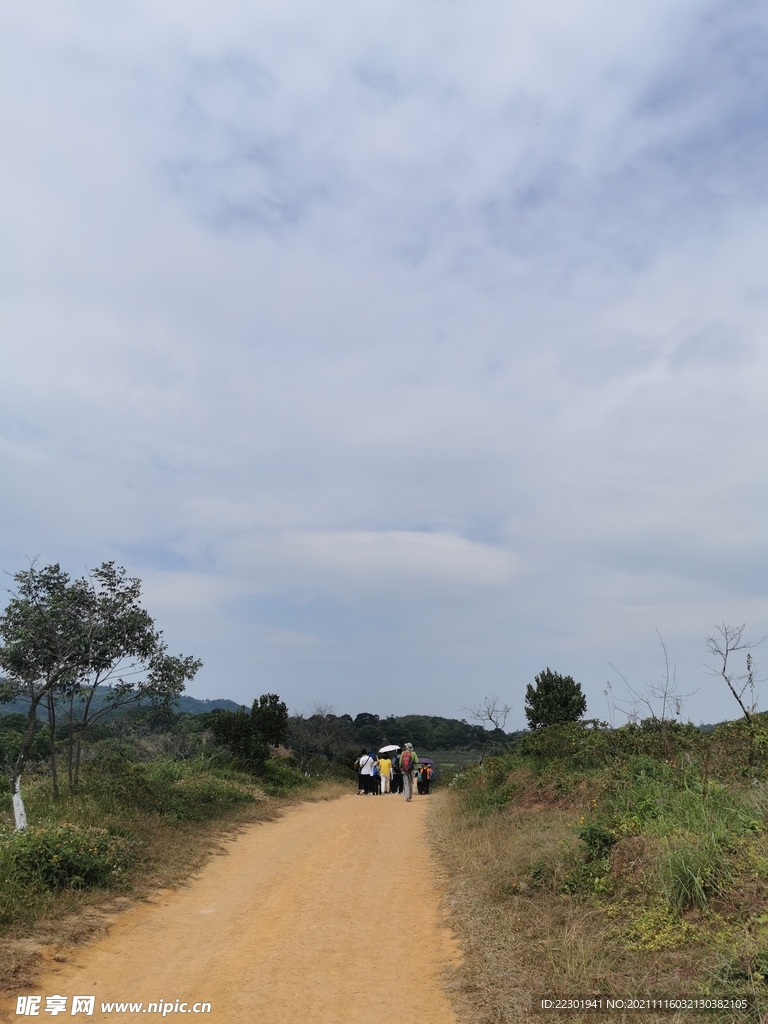 田间小路