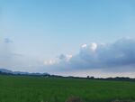 夏天 