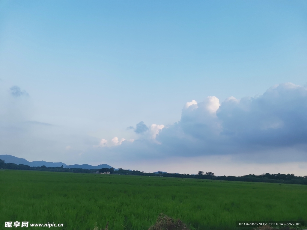夏天 