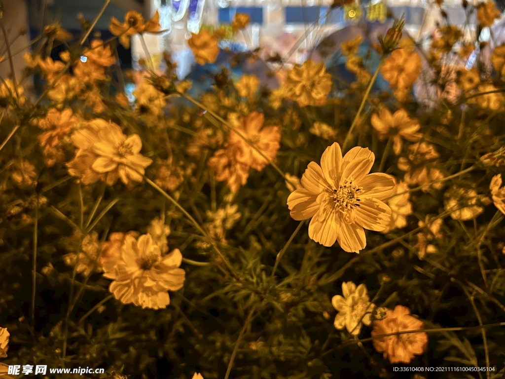 花