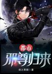 都市小说封面