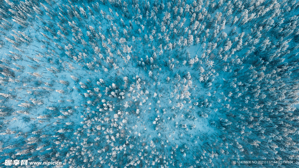 林海雪原