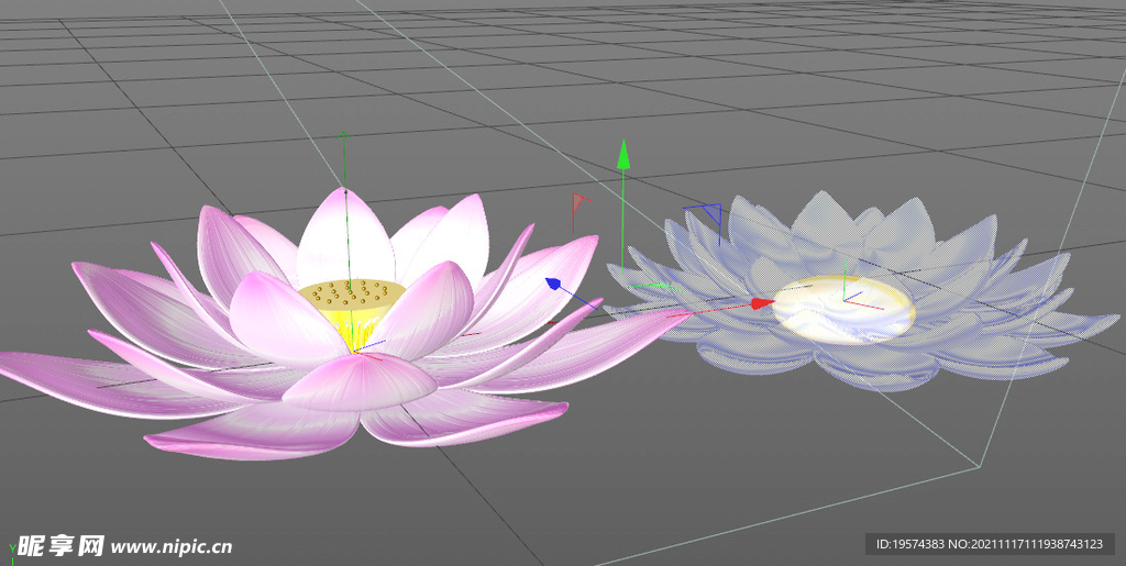 C4D模型荷花莲花