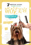 萌宠美容
