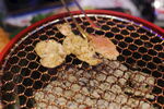 烤肉