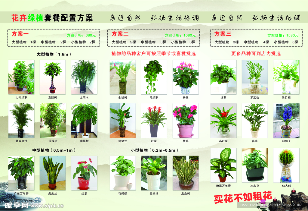 植物折页正