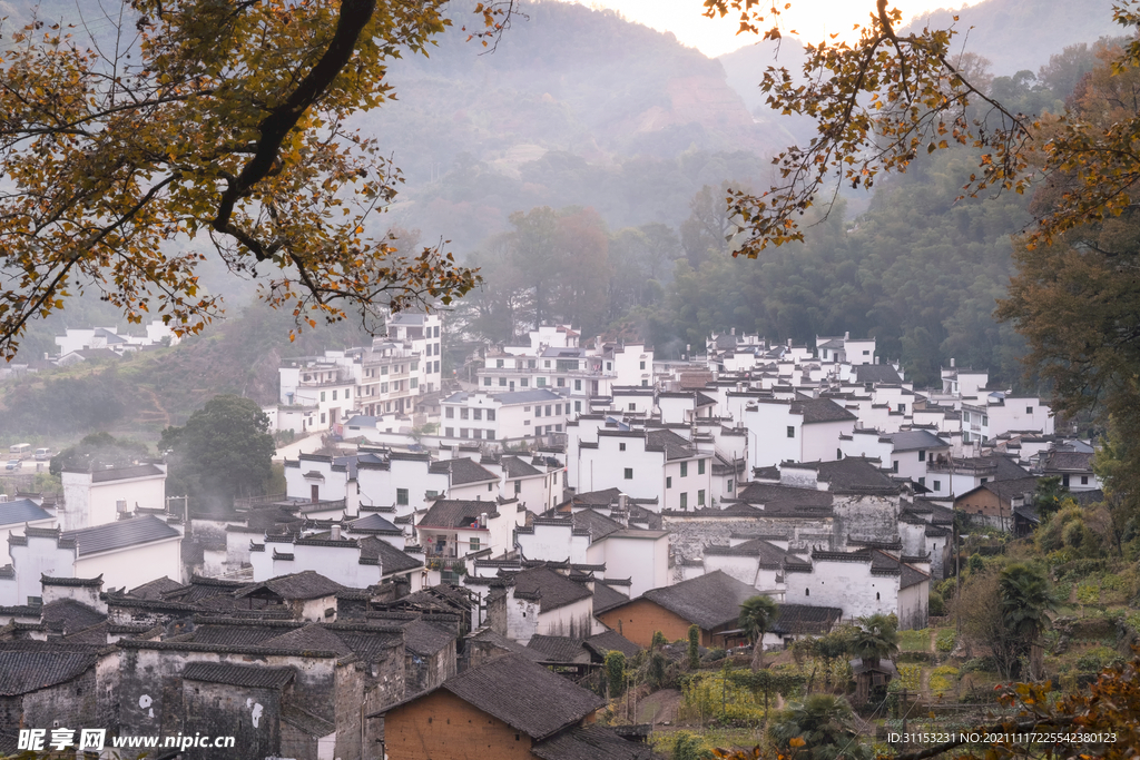 婺源风光