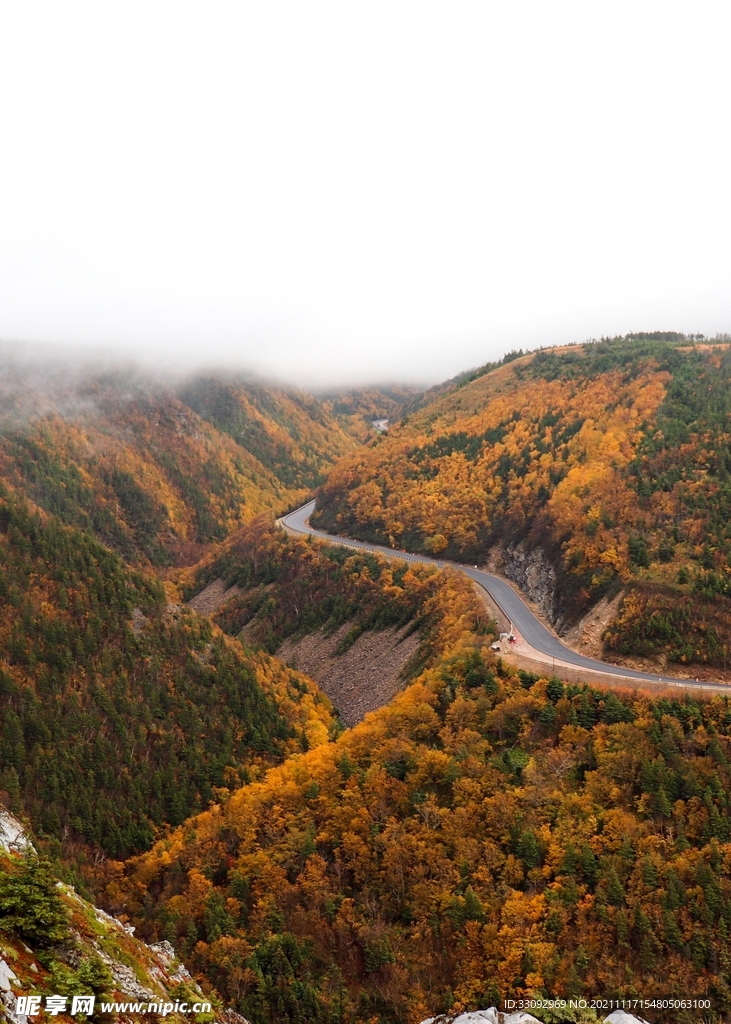 风景