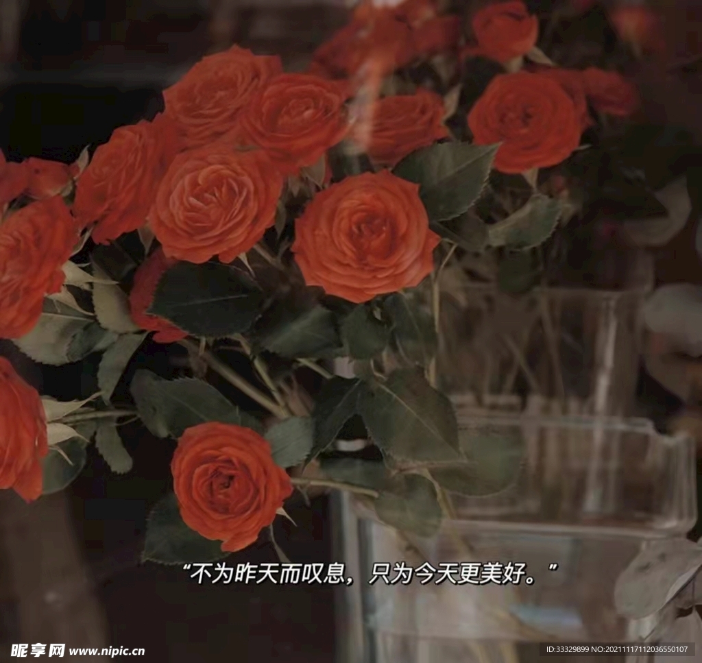 玫瑰花