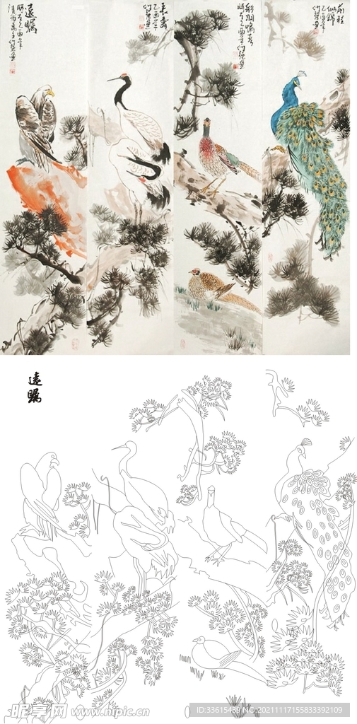 孔雀矢量图