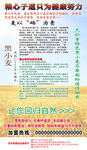 黑小麦介绍