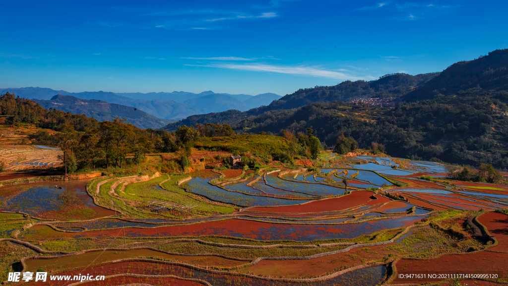 红河哈尼水稻梯田