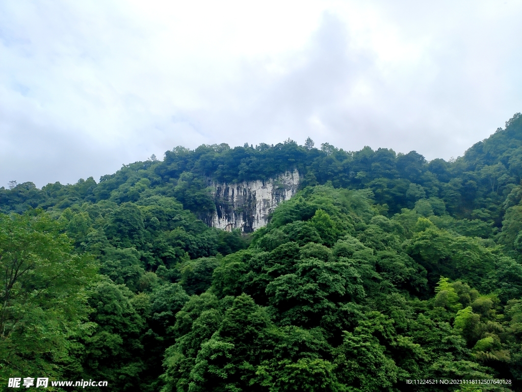 山