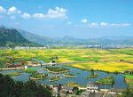 美丽乡村
