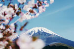 日本富士山