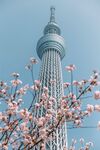 日本东京晴空塔