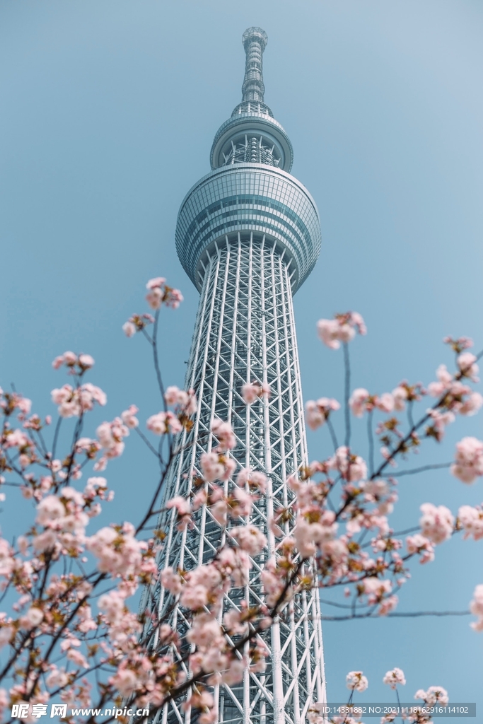 日本东京晴空塔