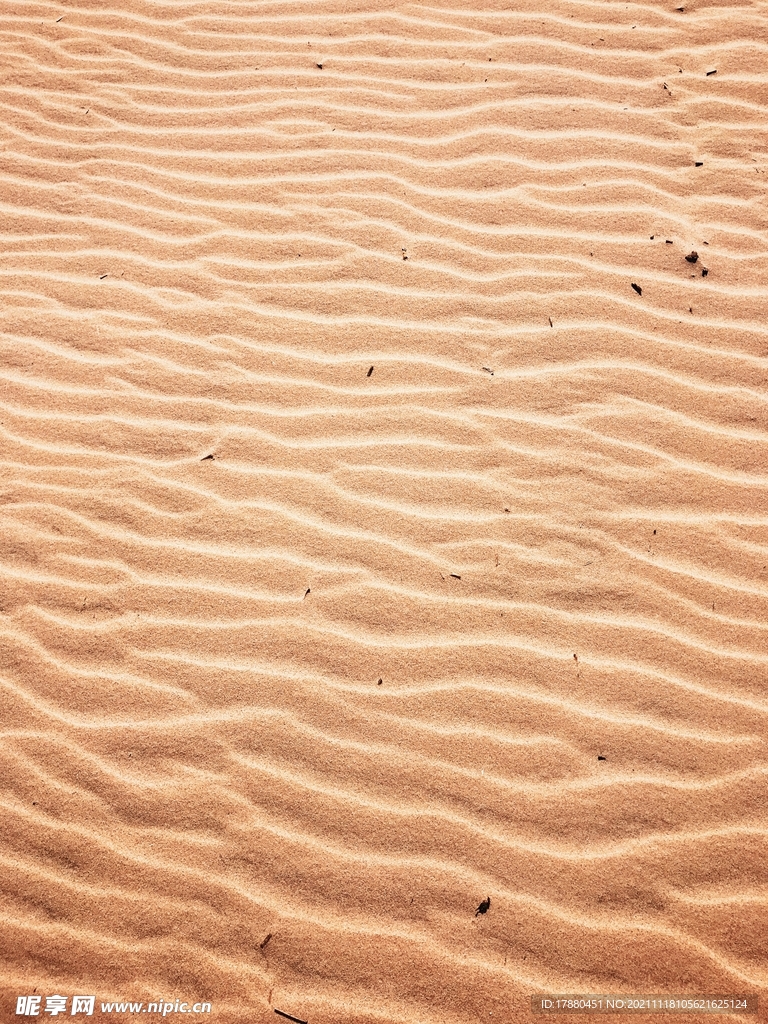 沙漠