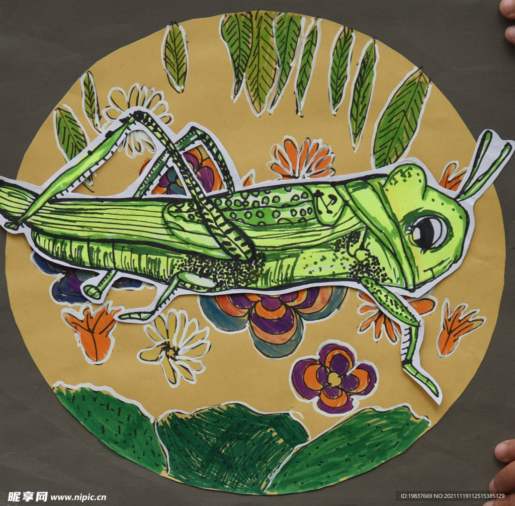 昆虫世界