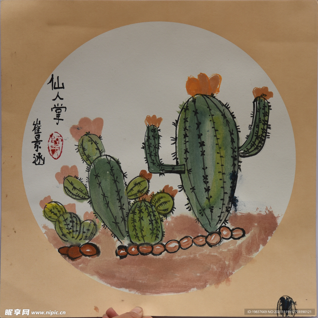 仙人掌