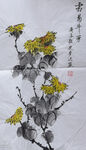 菊花