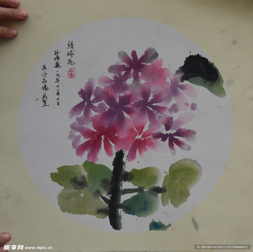 绣球花