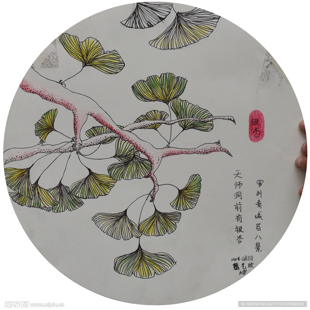 银杏