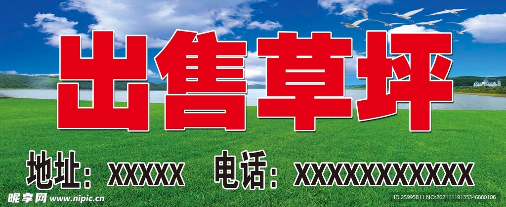 草坪