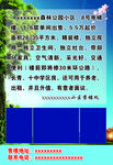 楼盘