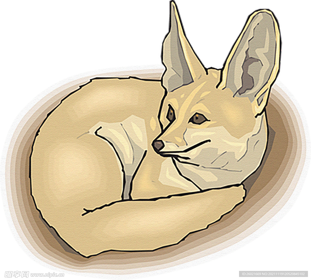 狐狸免抠