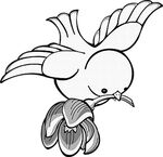 鸟免抠